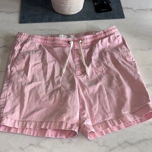 PacSun Men’s Volley Shorts